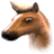 101 Ponypets