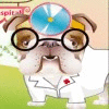 Dr.Bulldog's Pets Hospital игра