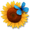Flower Paradise игра