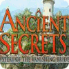 Древние секреты. Тайна пропавшей невесты game
