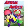 Aerial Antics игра