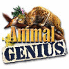 Animal Genius игра