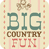 Big Country Fun игра