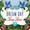 Dream Day True Love игра