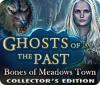 Ghosts of the Past: Bones of Meadows Town Collector's Edition игра