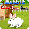 Rabbit Escape From Eagle игра