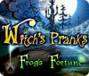 Witch's Pranks: Frog's Fortune игра