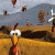 Moorhuhn
