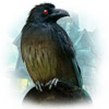 Mystery Case Files: Return to Ravenhearst игра