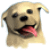 Puppy Luv A New Breed