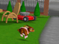 Free download 101 любимчик. Пушистые зайчата screenshot