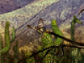Free download Байка Койота. Огонь и вода screenshot