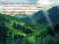 Free download Элементы screenshot