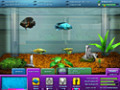 Free download FishCo screenshot