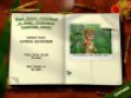Скачать бесплатно Gemsweeper скриншот 3