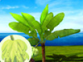 Free download Играю с мамой. Фрукты screenshot