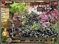 Скачать бесплатно Загадки Дракона скриншот 2