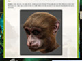 Скачать бесплатно Return to Mysterious Island 2: Mina's Fate Strategy Guide скриншот 2