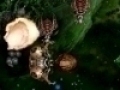 Скачать бесплатно Звездный Защитник 3 скриншот 2