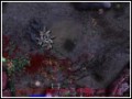 Free download Звездный Легион screenshot