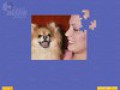 Скачать бесплатно Super Jigsaw Puppies скриншот 1