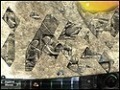 Скачать бесплатно Трилогия падения. Глава 1: Разделение скриншот 2