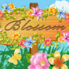 Blossom игра Blossom игра