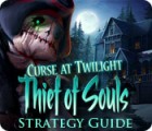 Curse at Twilight: Thief of Souls Strategy Guide игра