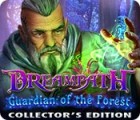 Dreampath: Guardian of the Forest Collector's Edition игра