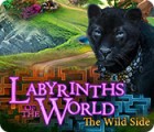 Labyrinths of the World: The Wild Side игра