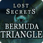 Lost Secrets: Bermuda Triangle игра