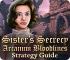 Sister's Secrecy: Arcanum Bloodlines Strategy Guide игра
