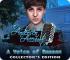 The Andersen Accounts: A Voice of Reason Collector's Edition игра