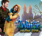 Winter in New York игра