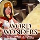 Word Wonders игра