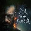 Life is Feudal игра