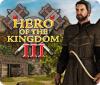 Hero of the Kingdom III game