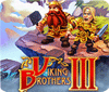 Братья Викинги 3. Коллекционное издание game