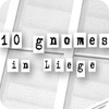10 Gnomes in Liege игра