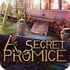 A Secret Promise игра