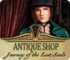 Antique Shop: Journey of the Lost Souls игра
