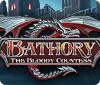 Bathory: The Bloody Countess игра