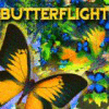 Butterflight игра