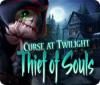 Curse at Twilight: Thief of Souls игра