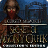 Cursed Memories: The Secret of Agony Creek Collector's Edition игра