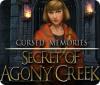 Cursed Memories: The Secret of Agony Creek игра