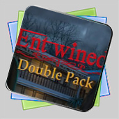 Double Pack Entwined игра Double Pack Entwined игра