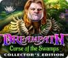 Dreampath: Curse of the Swamps Collector's Edition игра
