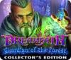 Dreampath: Guardian of the Forest Collector's Edition игра