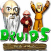 Druid's Battle of Magic игра